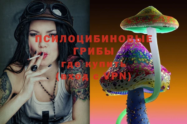 крисы Козловка