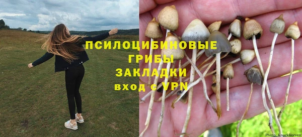 ешки Ладушкин