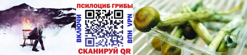 Псилоцибиновые грибы GOLDEN TEACHER  Купить  Вихоревка 