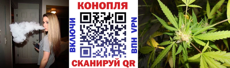 Каннабис планчик  Купить где  Вихоревка 